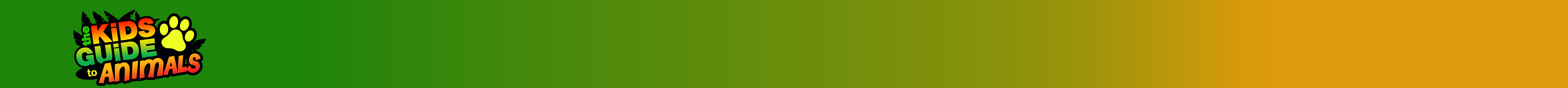 The Kids Guide to Animals