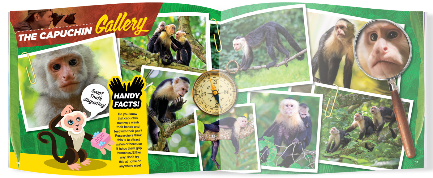 The Kids Guide to Animals - The Capuchin