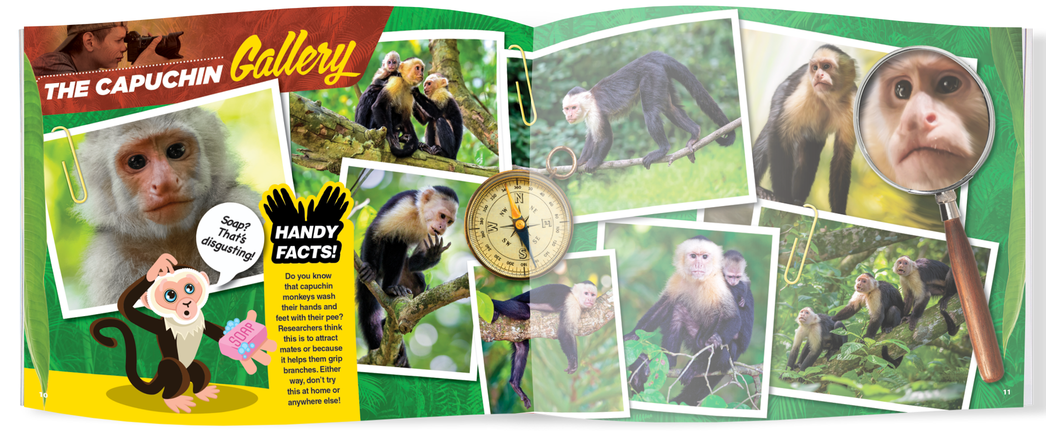 The Kids Guide to Animals - The Capuchin
