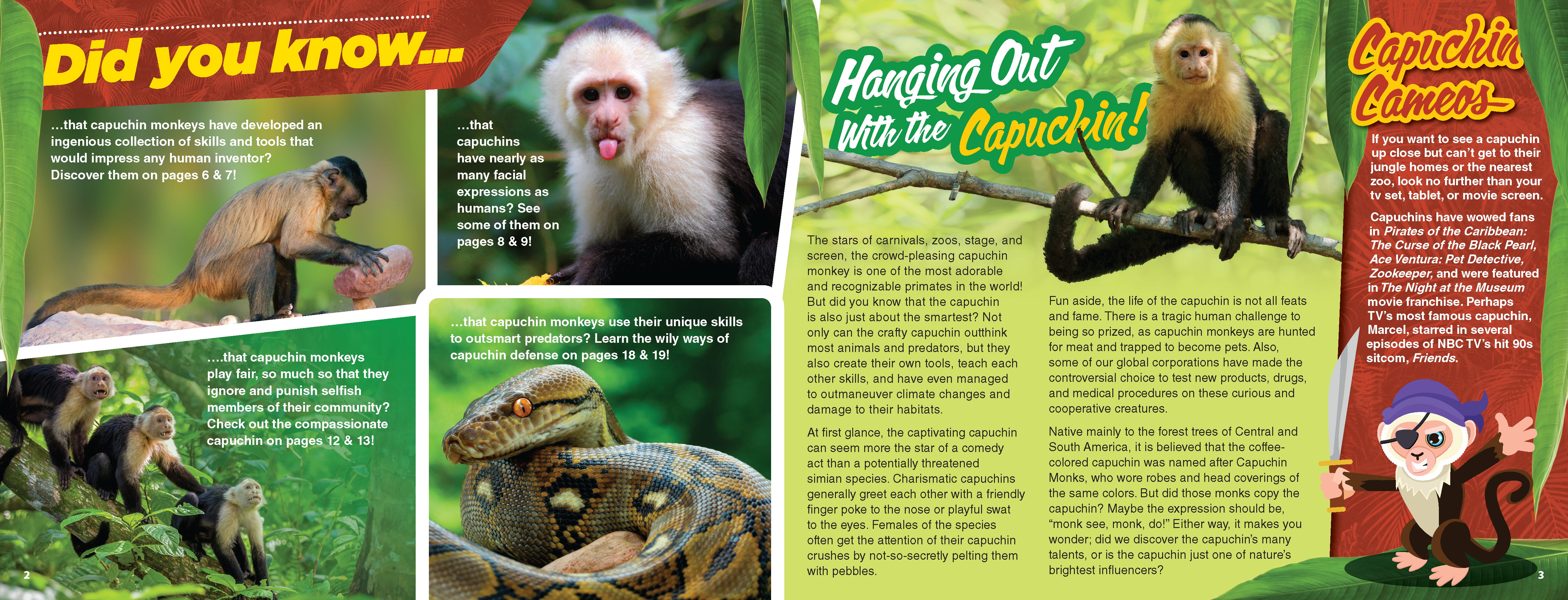 The Kids Guide to Animals - The Capuchin