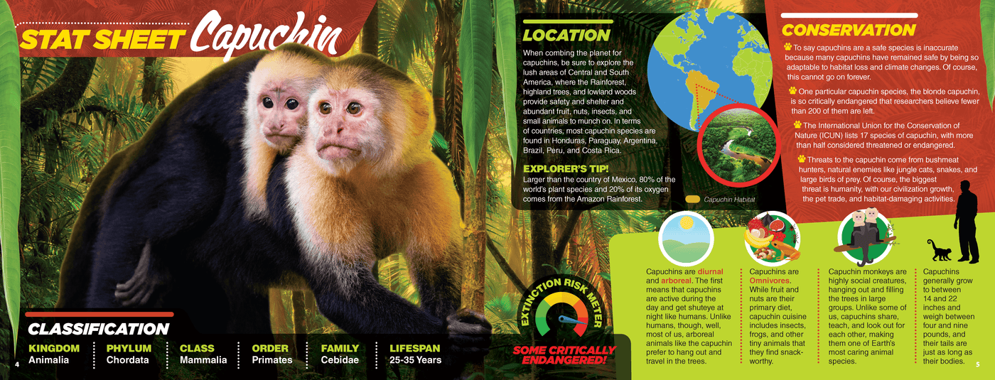 The Kids Guide to Animals - The Capuchin
