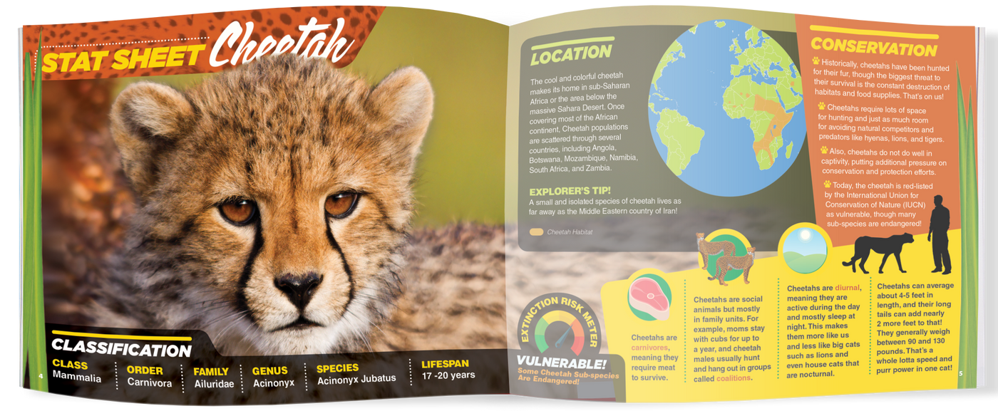 The Kids Guide to Animals - The Cheetah