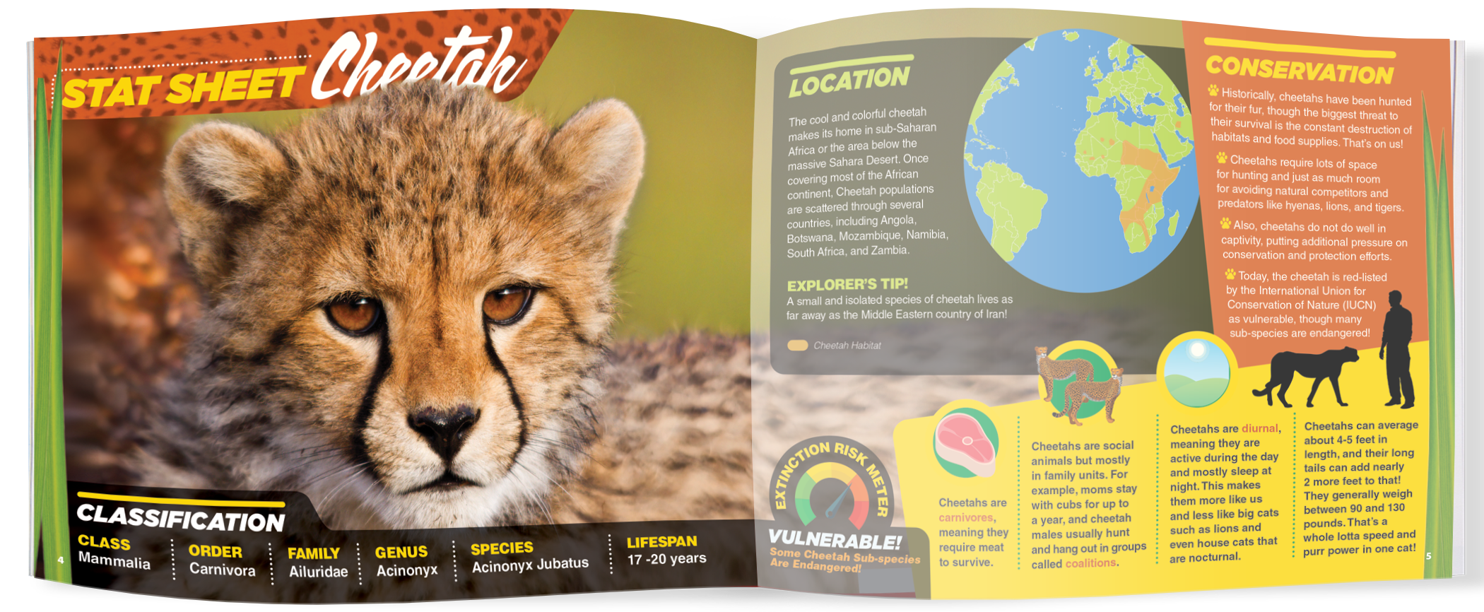 The Kids Guide to Animals - The Cheetah