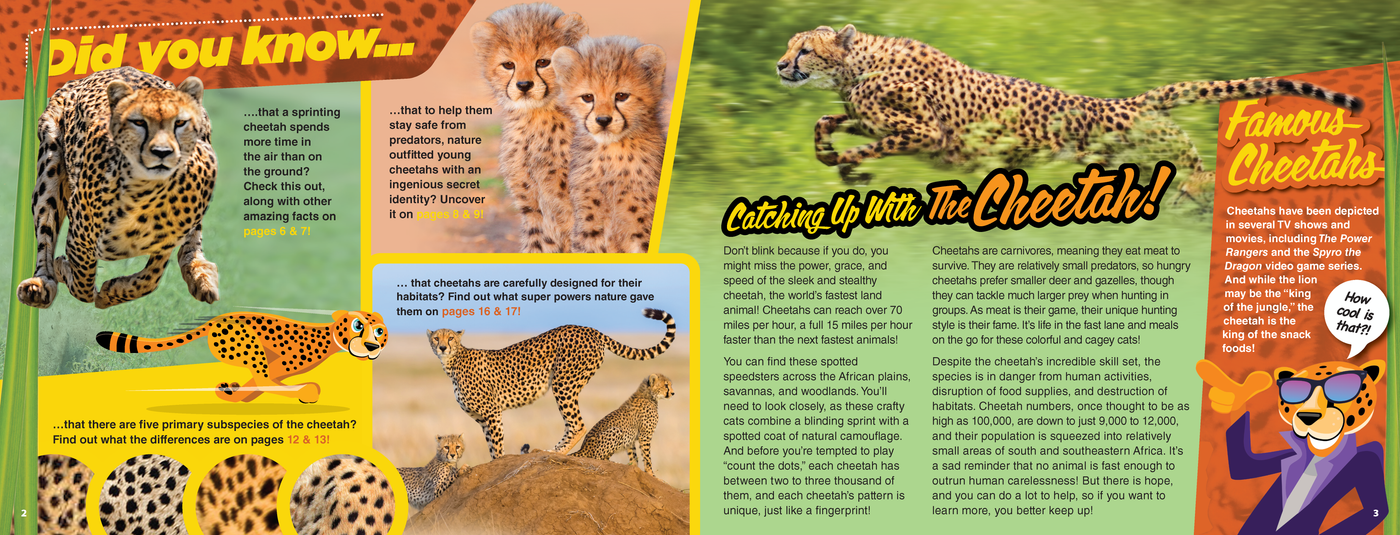 The Kids Guide to Animals - The Cheetah