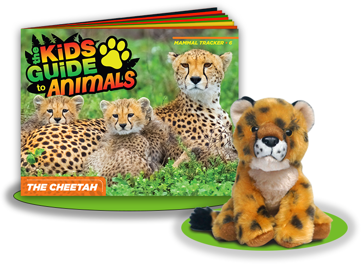 The Kids Guide to Animals - Cheetah Adventure Kit