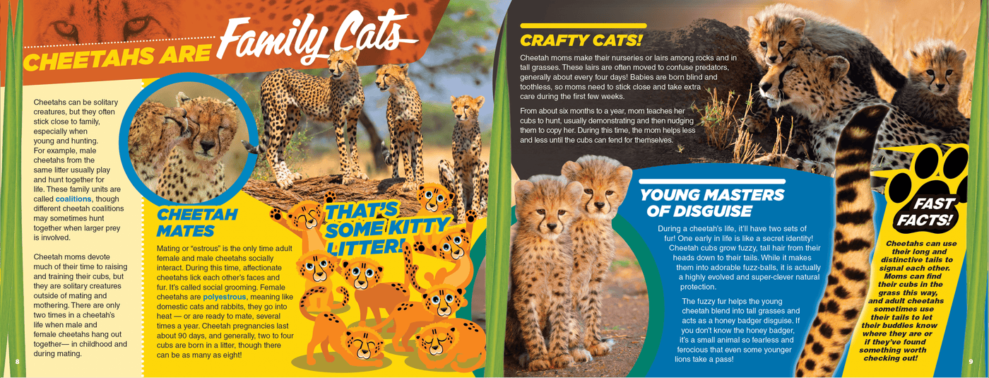 The Kids Guide to Animals - The Cheetah