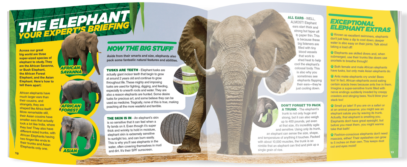 The Kids Guide to Animals - The Elephant