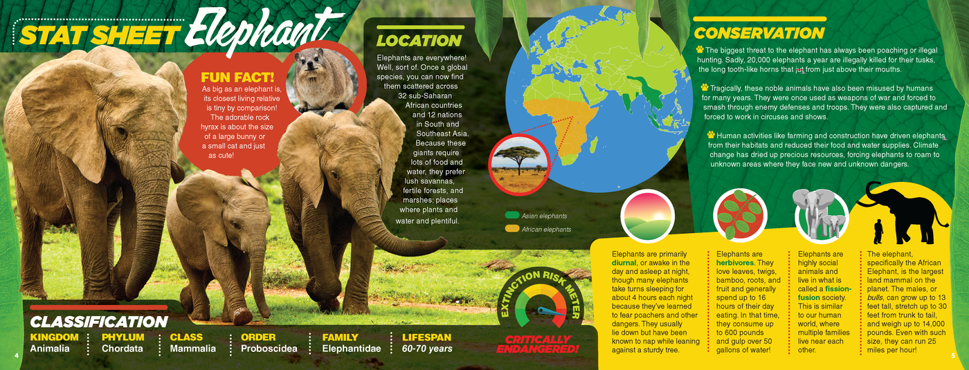 The Kids Guide to Animals - The Elephant