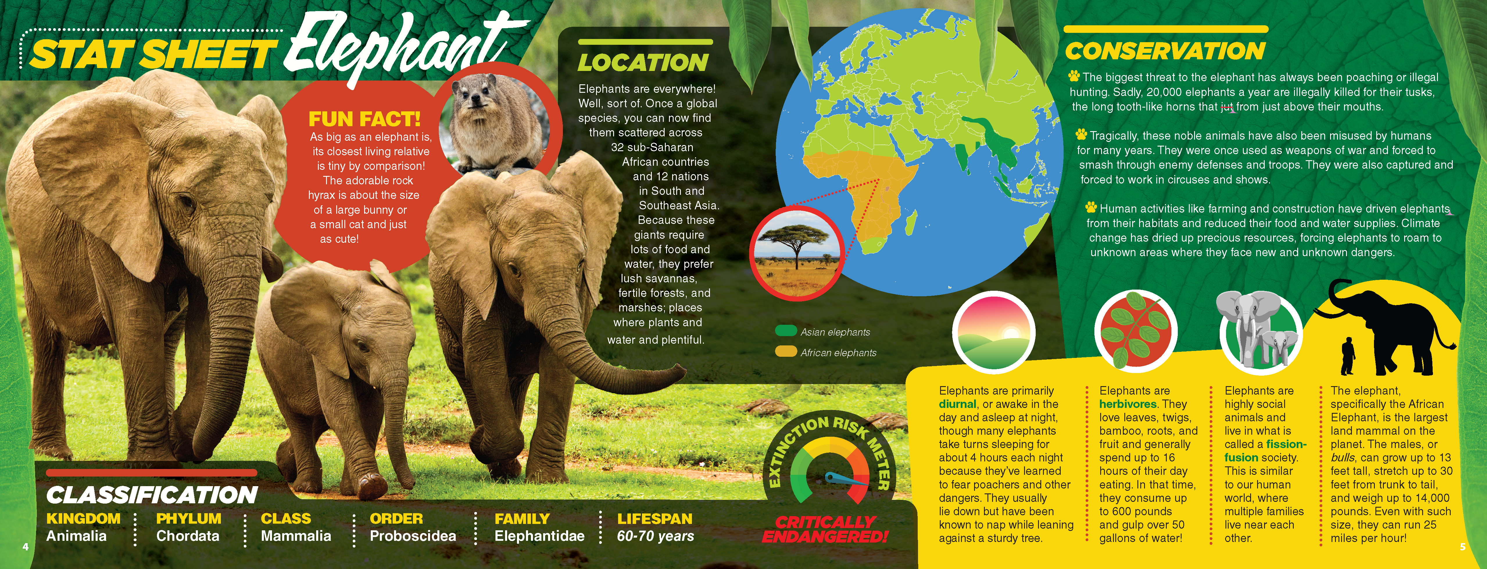 The Kids Guide to Animals - The Elephant