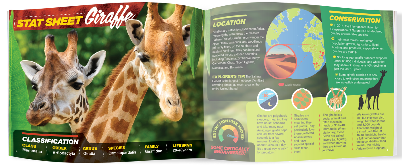 The Kids Guide to Animals - The Giraffe