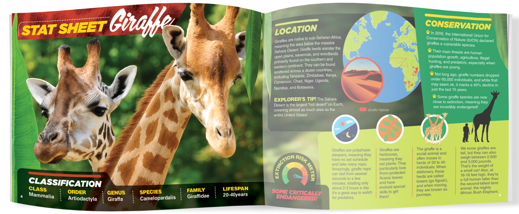 The Kids Guide to Animals - The Giraffe