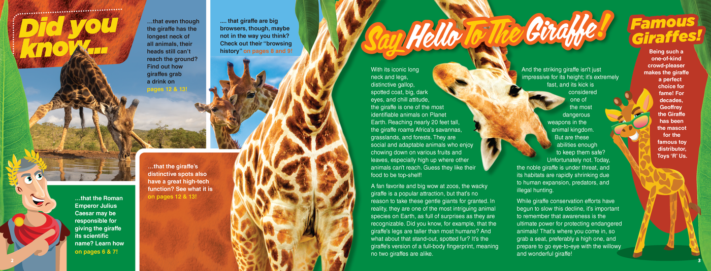The Kids Guide to Animals - The Giraffe