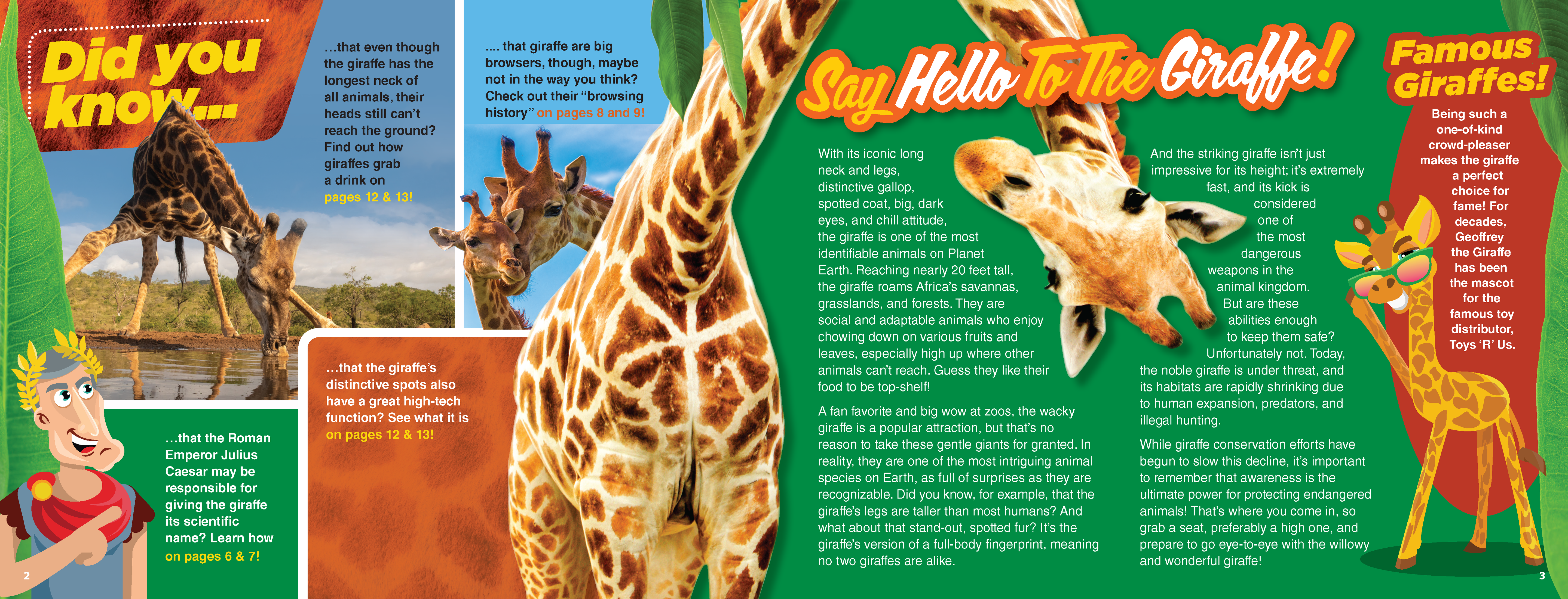 The Kids Guide to Animals - The Giraffe