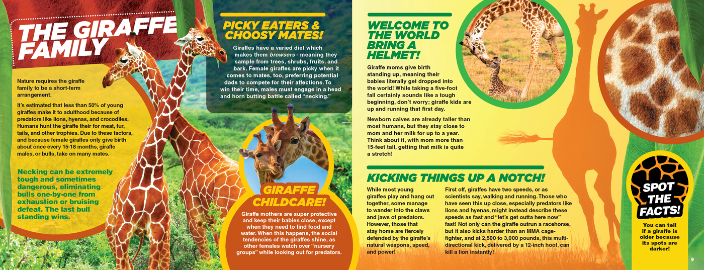 The Kids Guide to Animals - The Giraffe