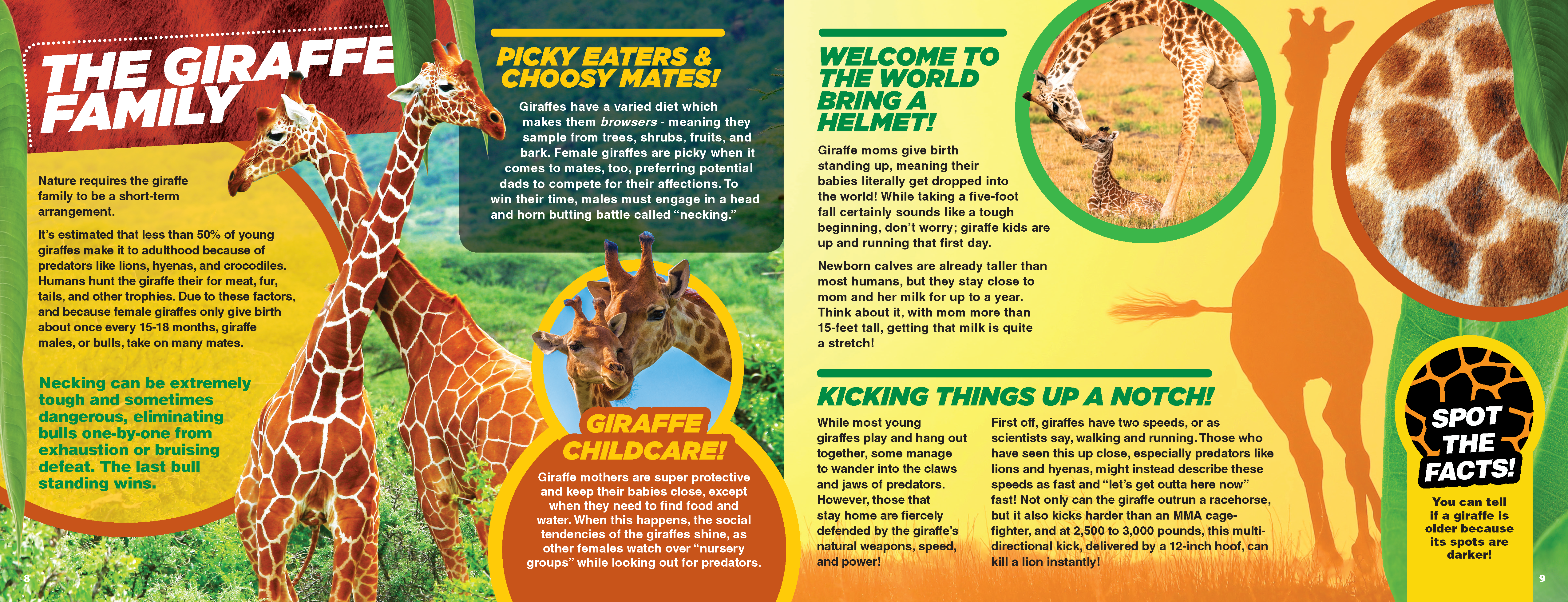 The Kids Guide to Animals - The Giraffe