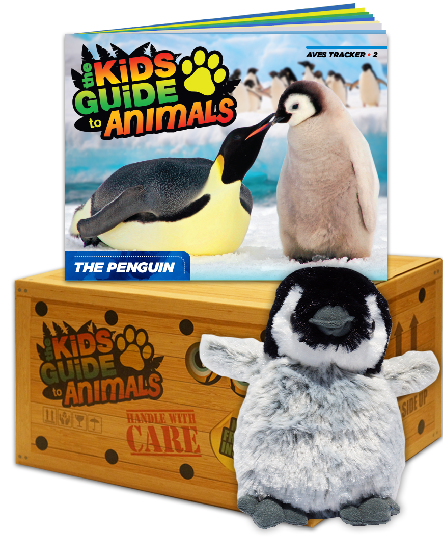 The Kids Guide to Animals - Penguin Adventure Box