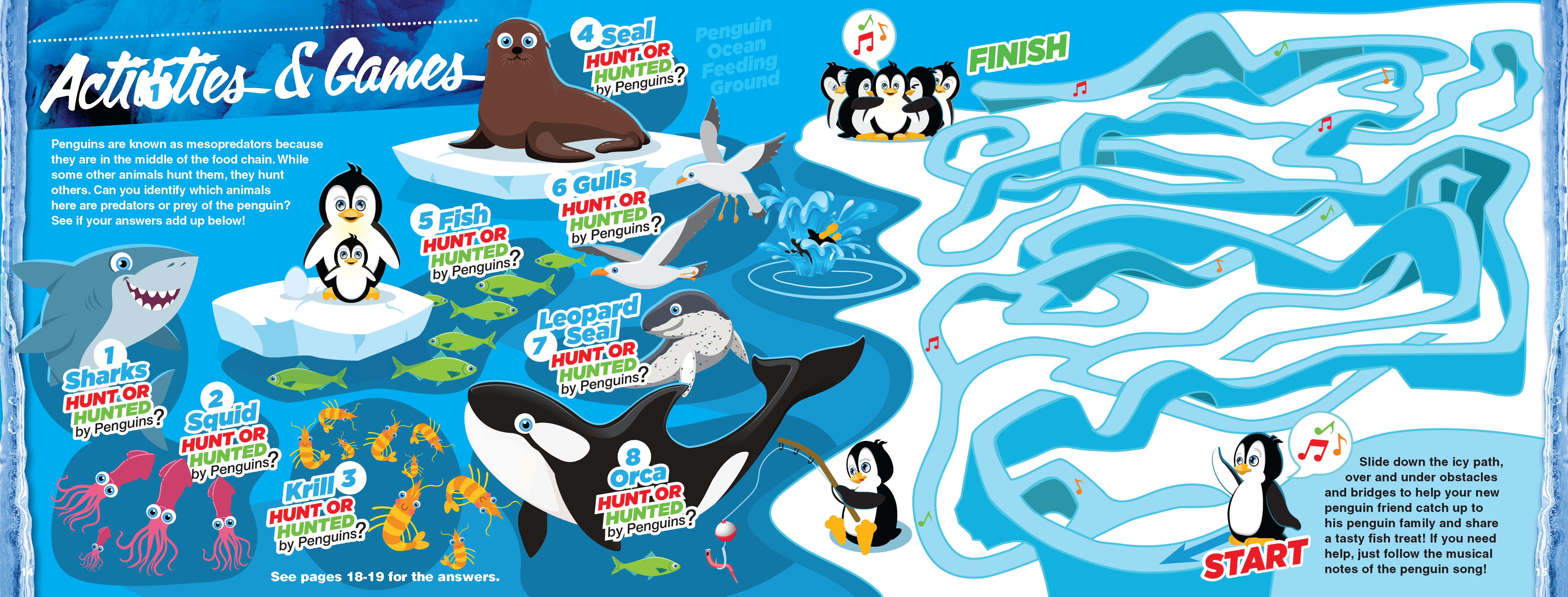 The Kids Guide to Animals - The Penguin