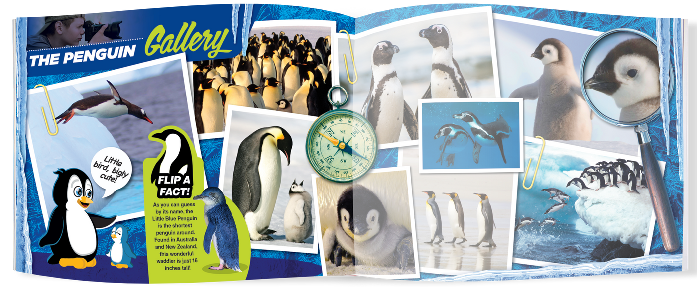 The Kids Guide to Animals - The Penguin