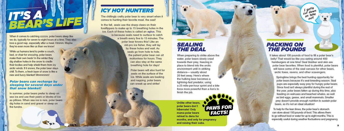 The Kids Guide to Animals - The Polar Bear