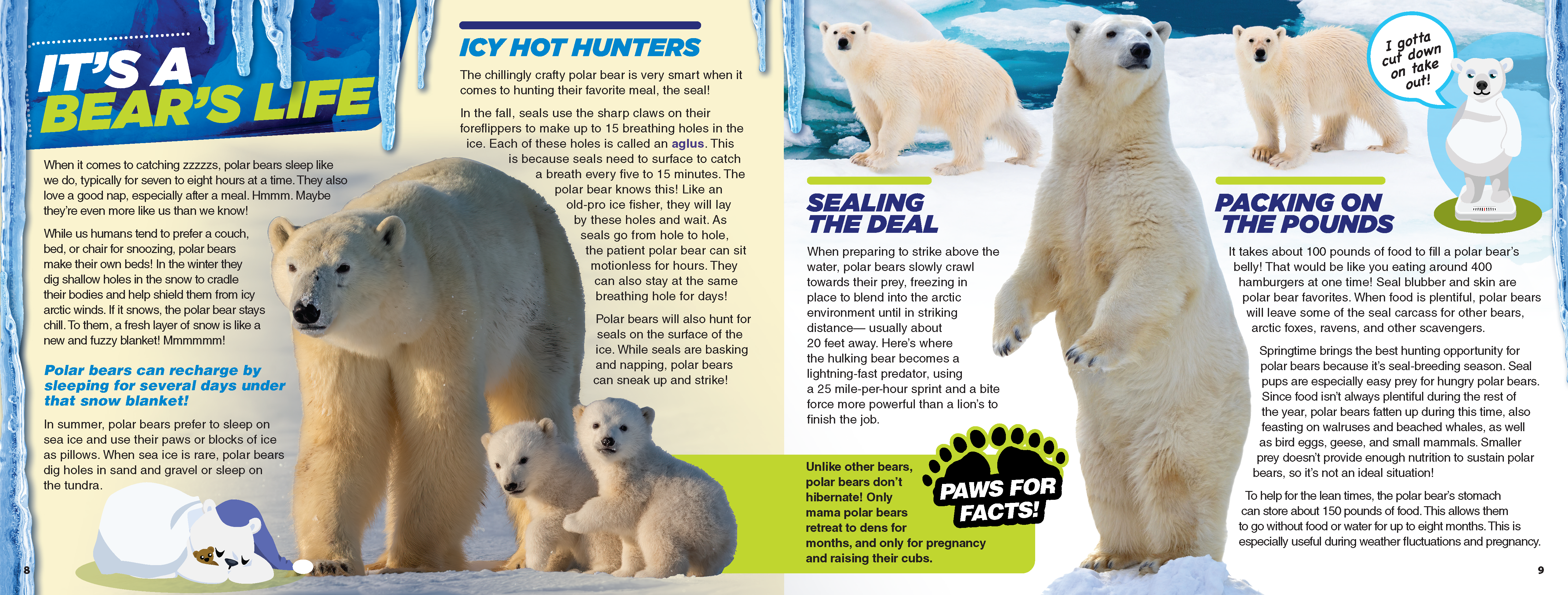 The Kids Guide to Animals - The Polar Bear