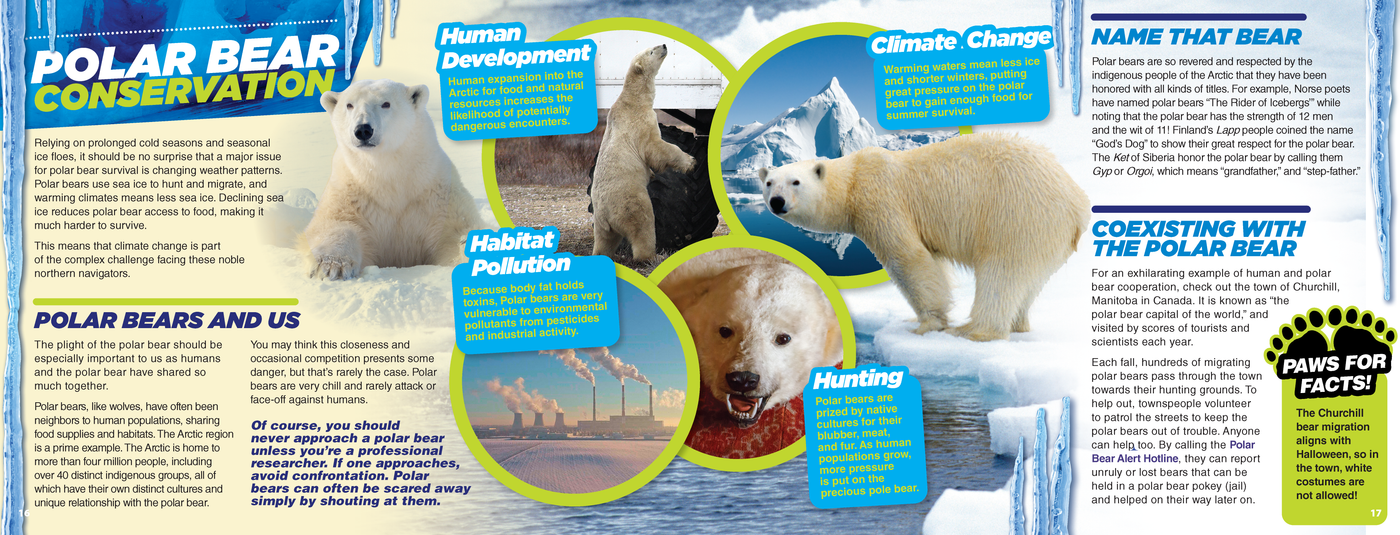 The Kids Guide to Animals - The Polar Bear