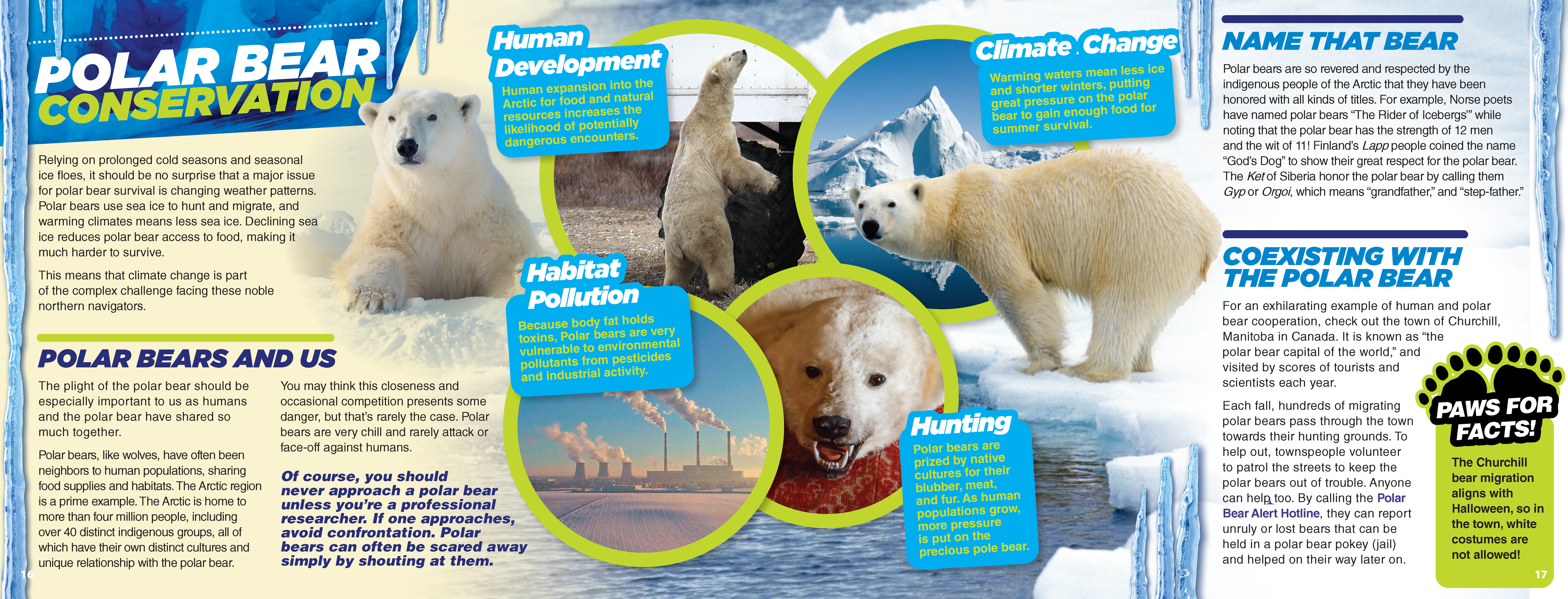 The Kids Guide to Animals - The Polar Bear