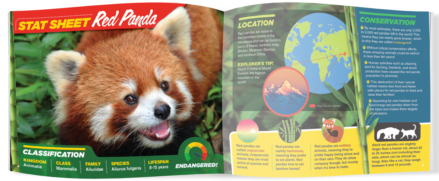 The Kids Guide to Animals - The Red Panda