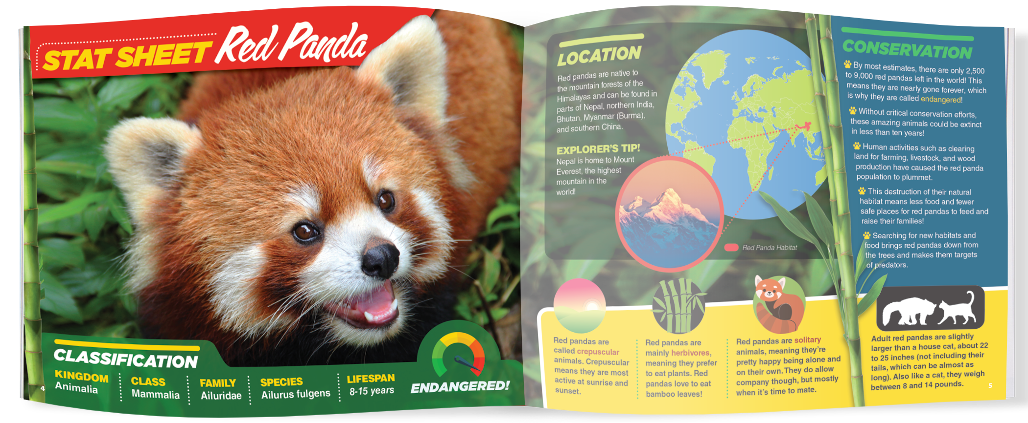 The Kids Guide to Animals - The Red Panda