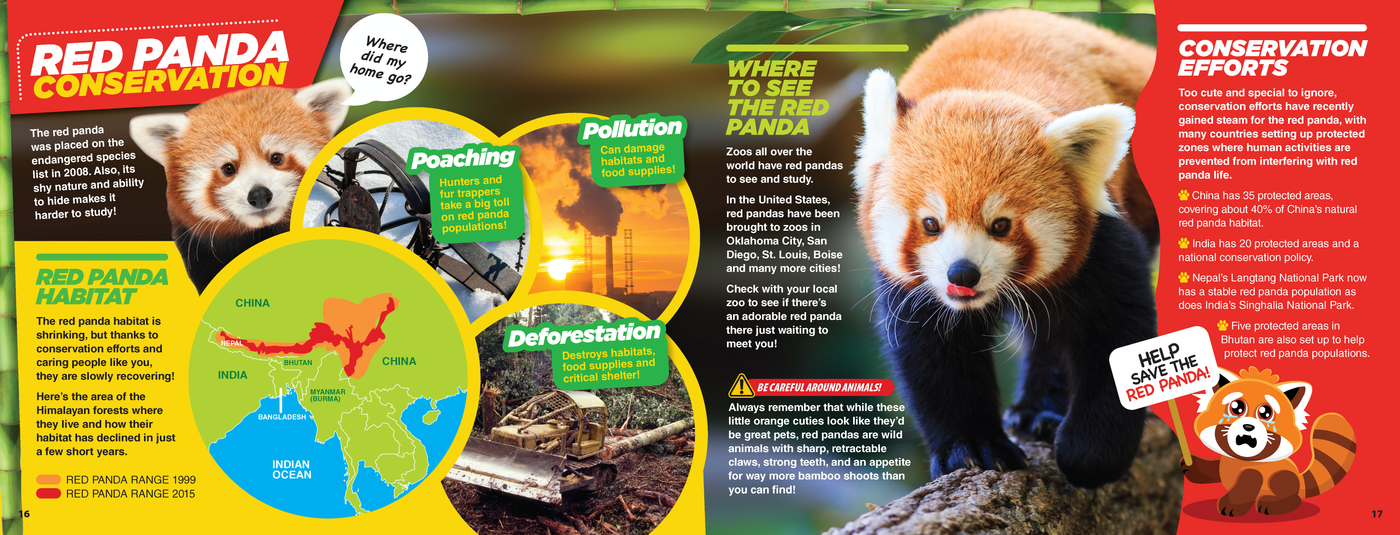 The Kids Guide to Animals - The Red Panda