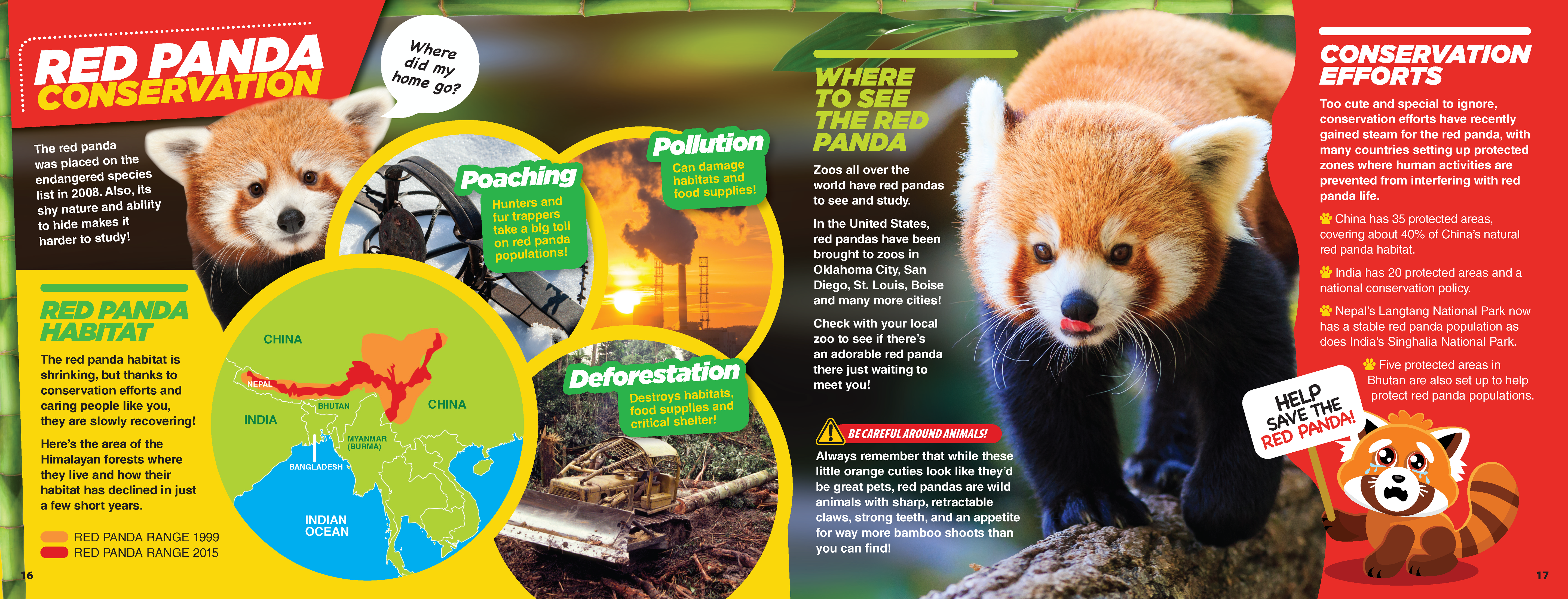 The Kids Guide to Animals - The Red Panda