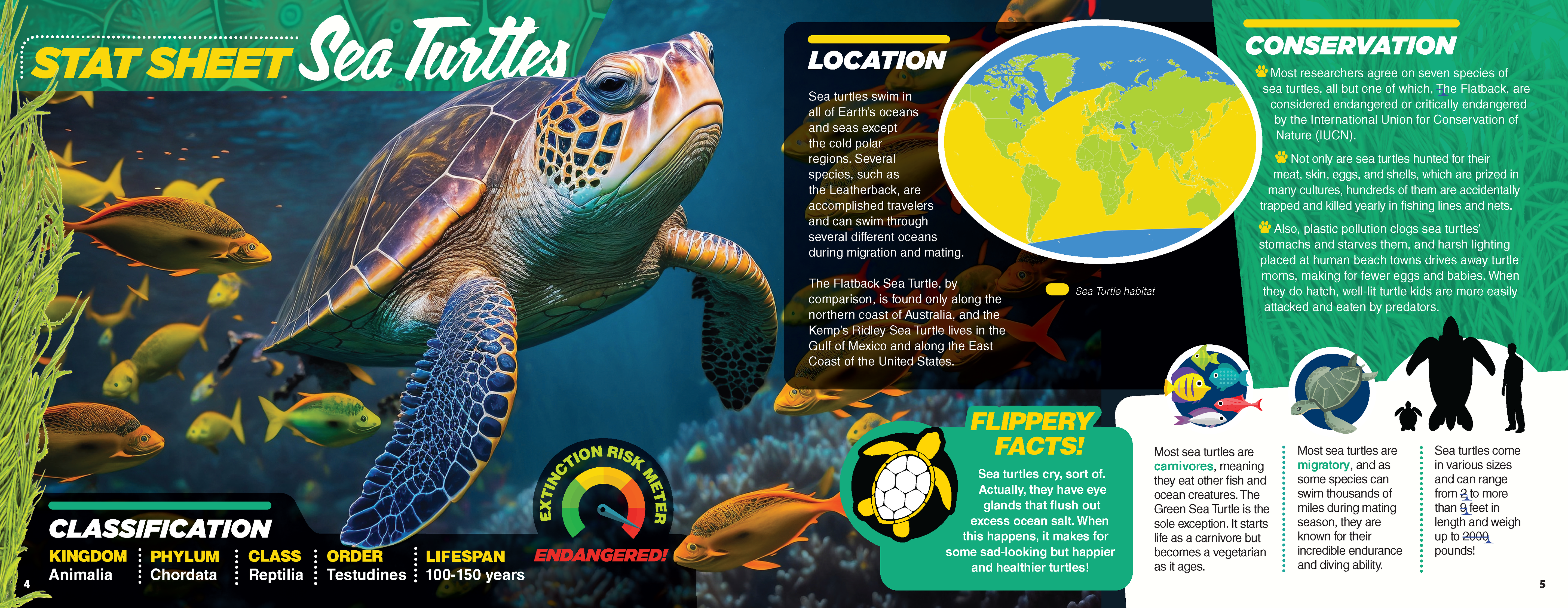 The Kids Guide to Animals - The Sea Turtle