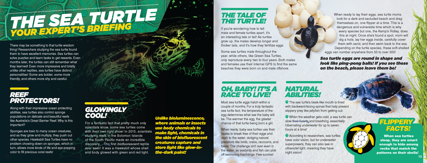 The Kids Guide to Animals - The Sea Turtle