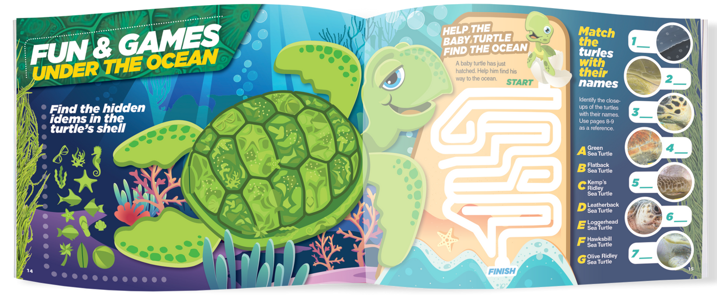 The Kids Guide to Animals - The Sea Turtle