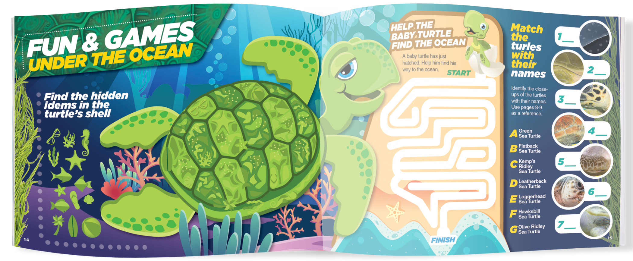 The Kids Guide to Animals - The Sea Turtle