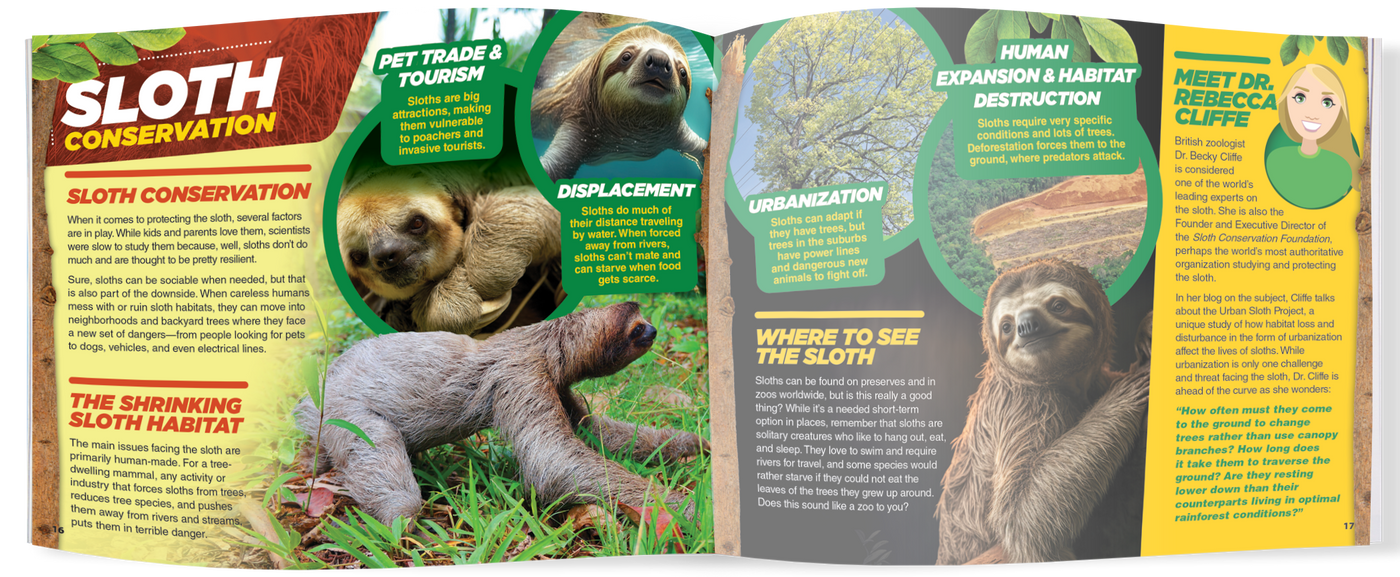 The Kids Guide to Animals - The Sloth