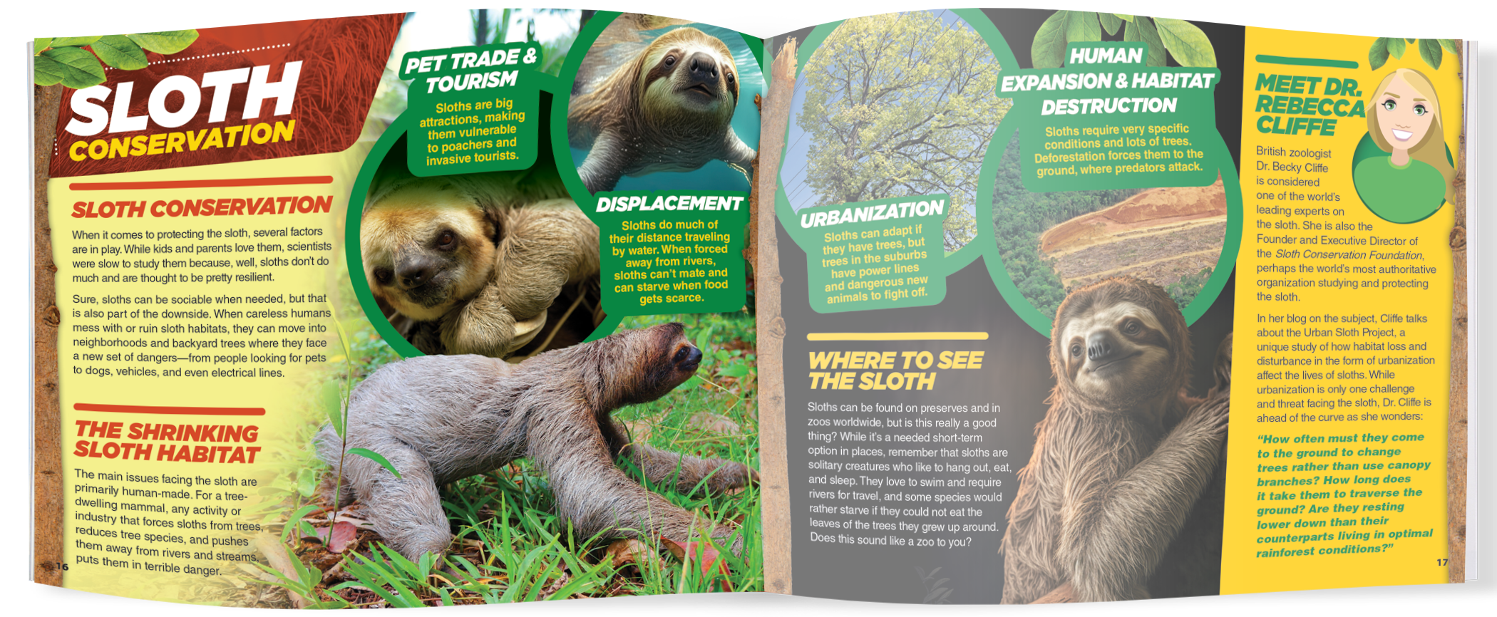 The Kids Guide to Animals - The Sloth