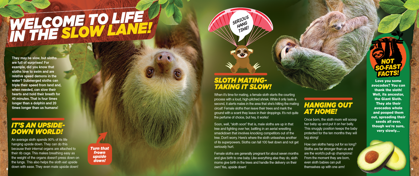 The Kids Guide to Animals - The Sloth