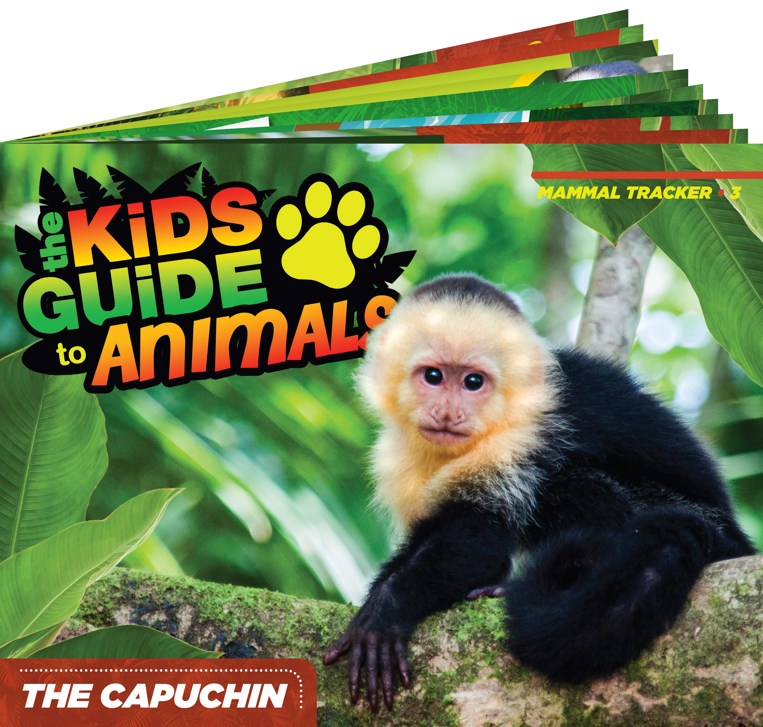 The Kids Guide to Animals - The Capuchin