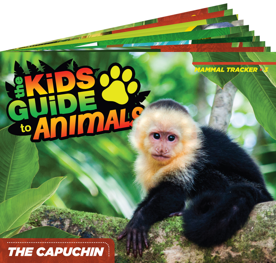 The Kids Guide to Animals - The Capuchin