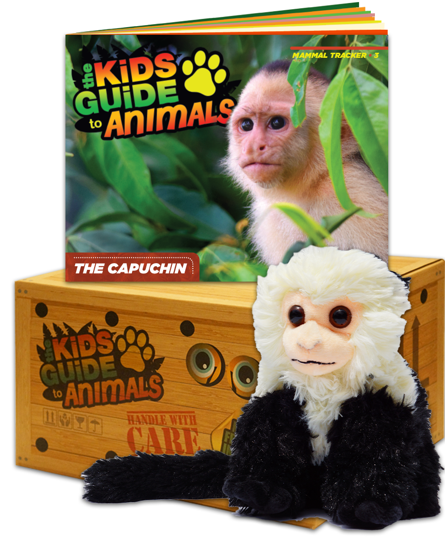 The Kids Guide to Animals - Capuchin Adventure Box