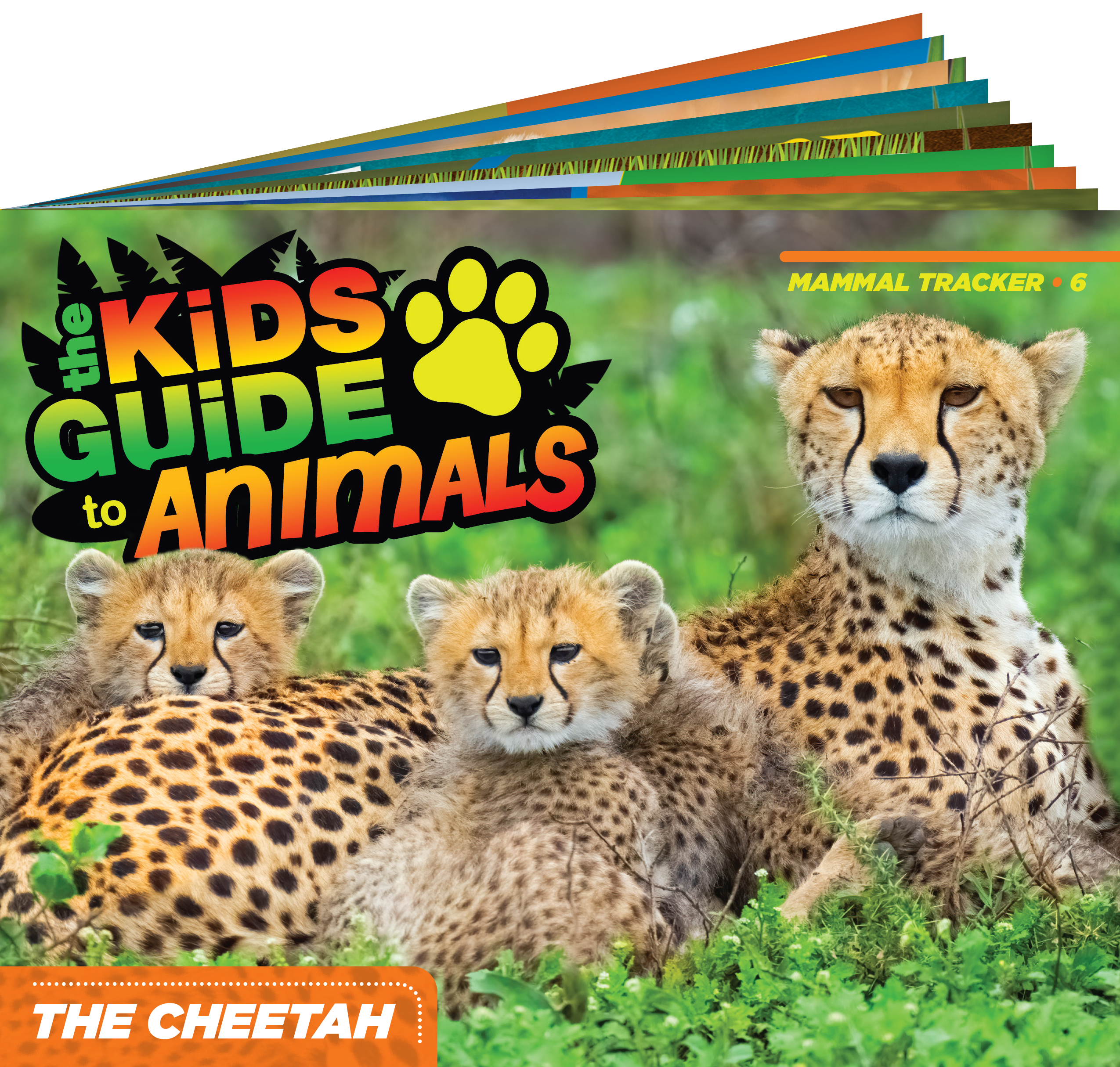 The Kids Guide to Animals - The Cheetah