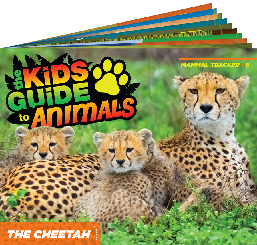 The Kids Guide to Animals - The Cheetah