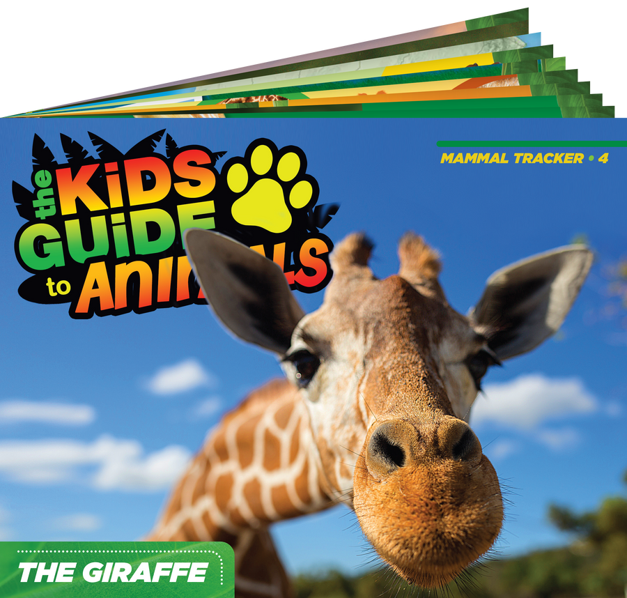 The Kids Guide to Animals - The Giraffe