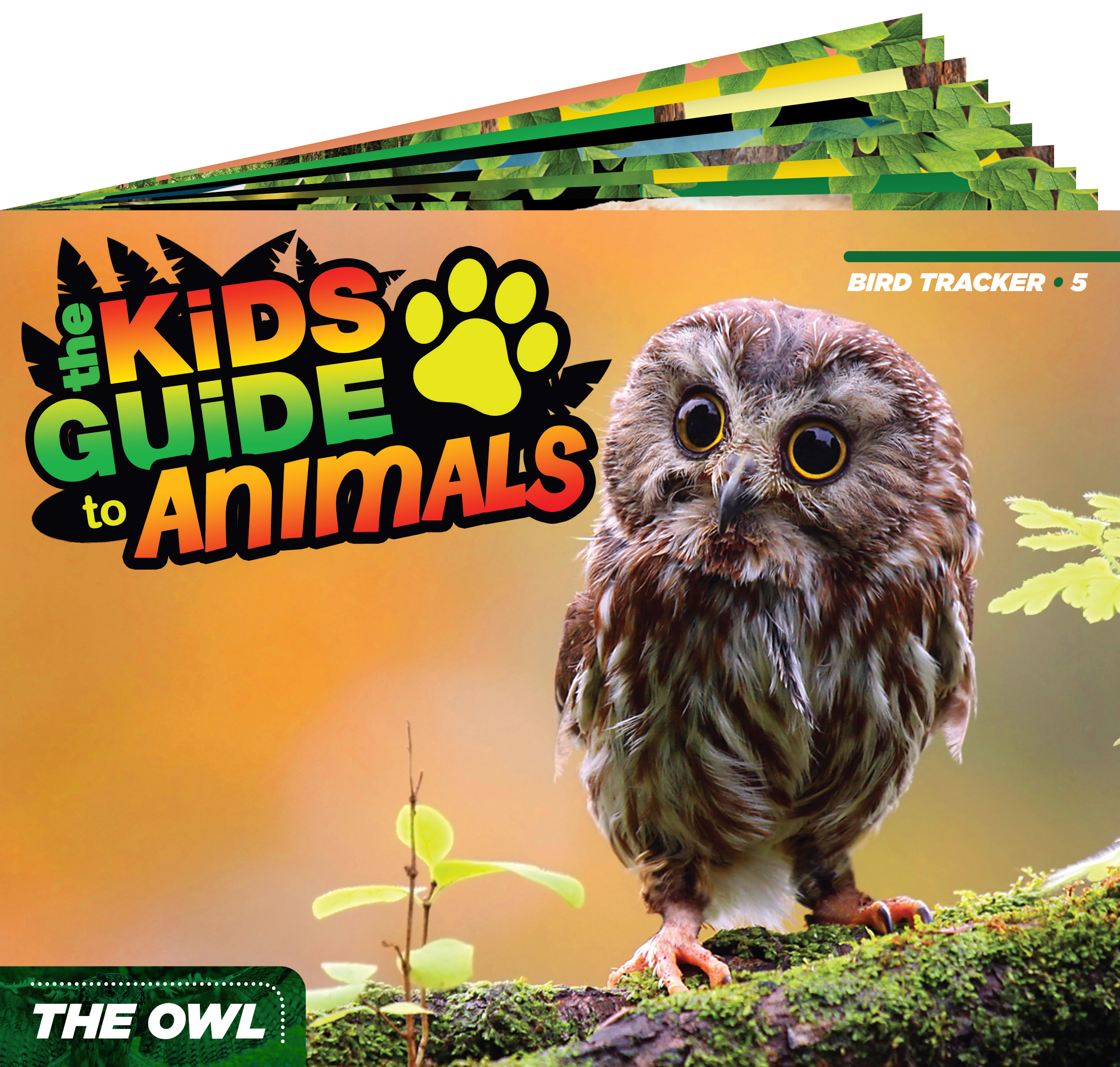 The Kids Guide to Animals - The Owl