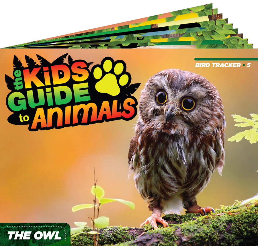 The Kids Guide to Animals - The Owl