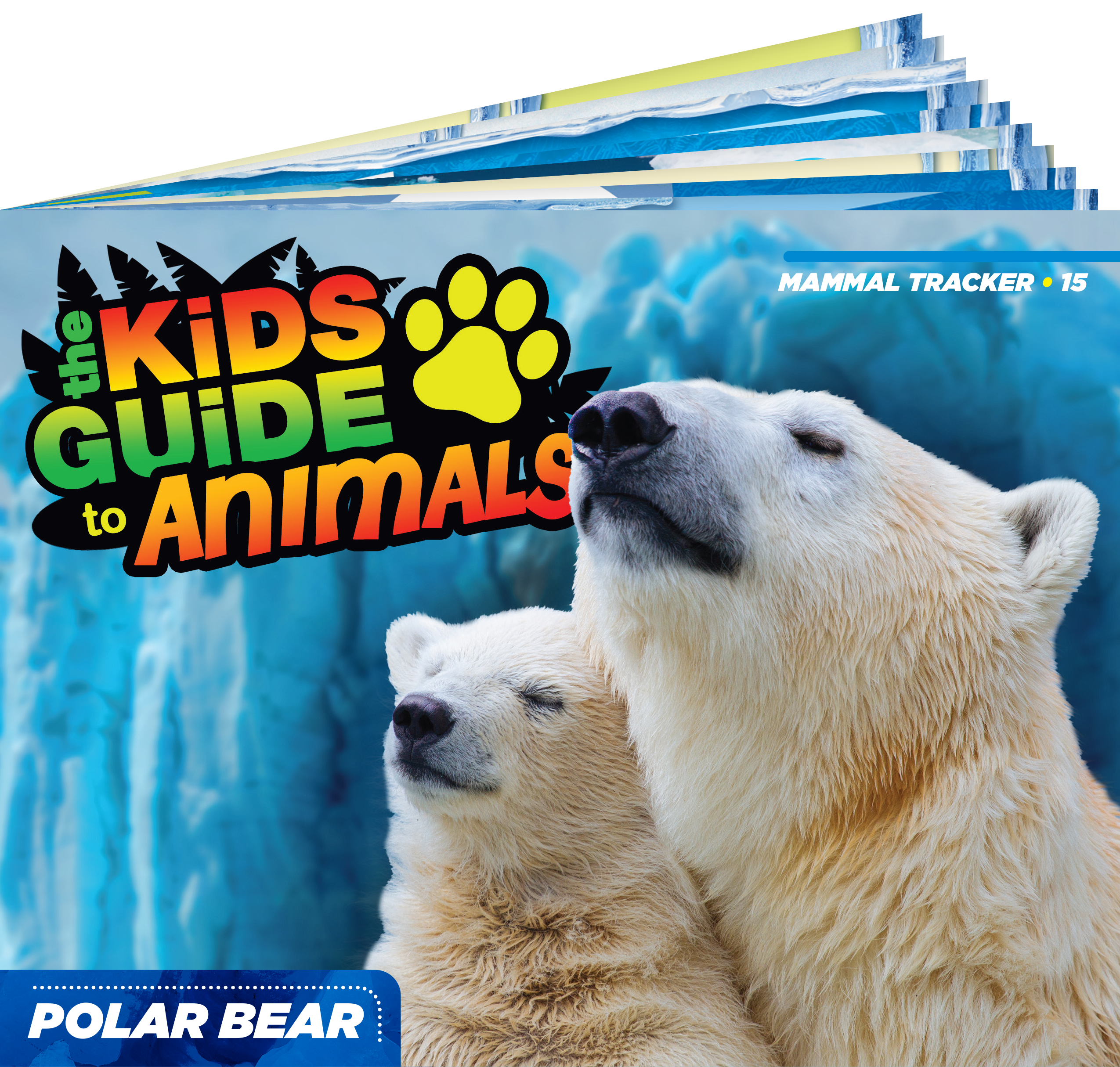 The Kids Guide to Animals - The Polar Bear