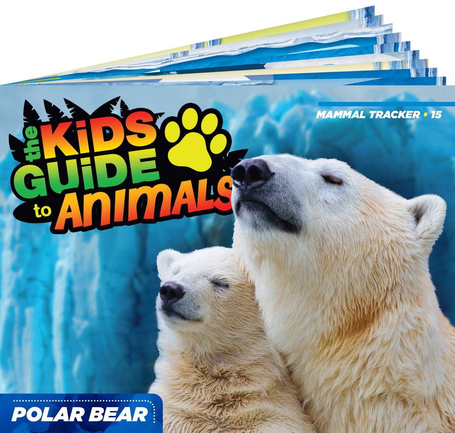 The Kids Guide to Animals - The Polar Bear