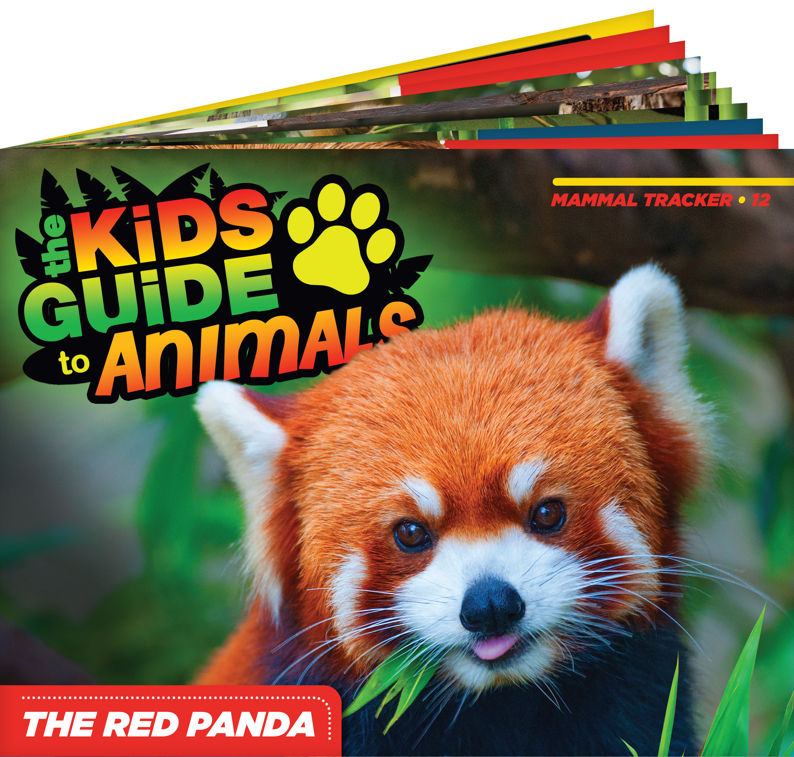 The Kids Guide to Animals - The Red Panda