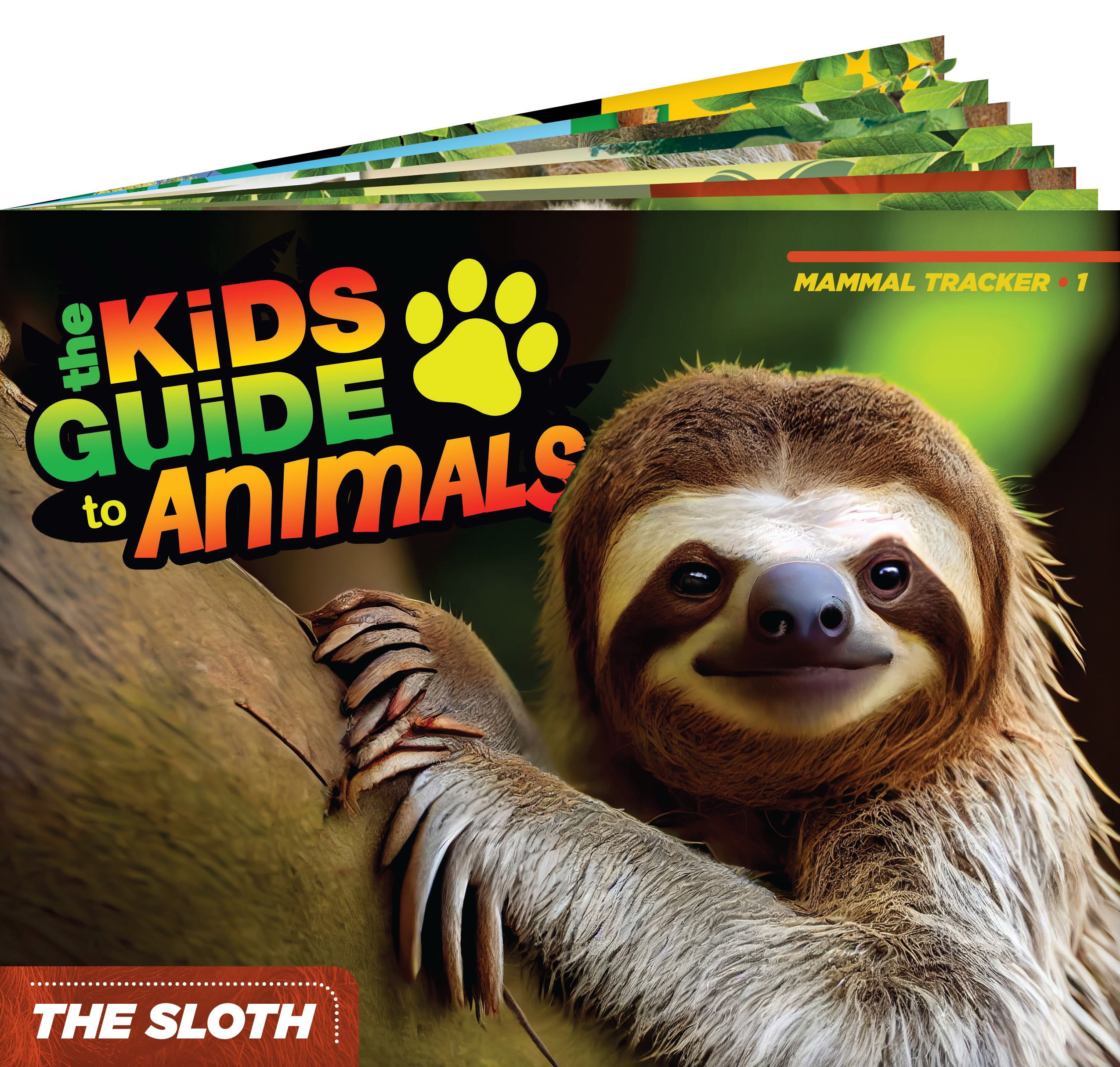 The Kids Guide to Animals - The Sloth