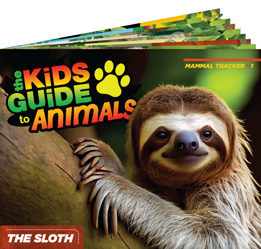 The Kids Guide to Animals - The Sloth